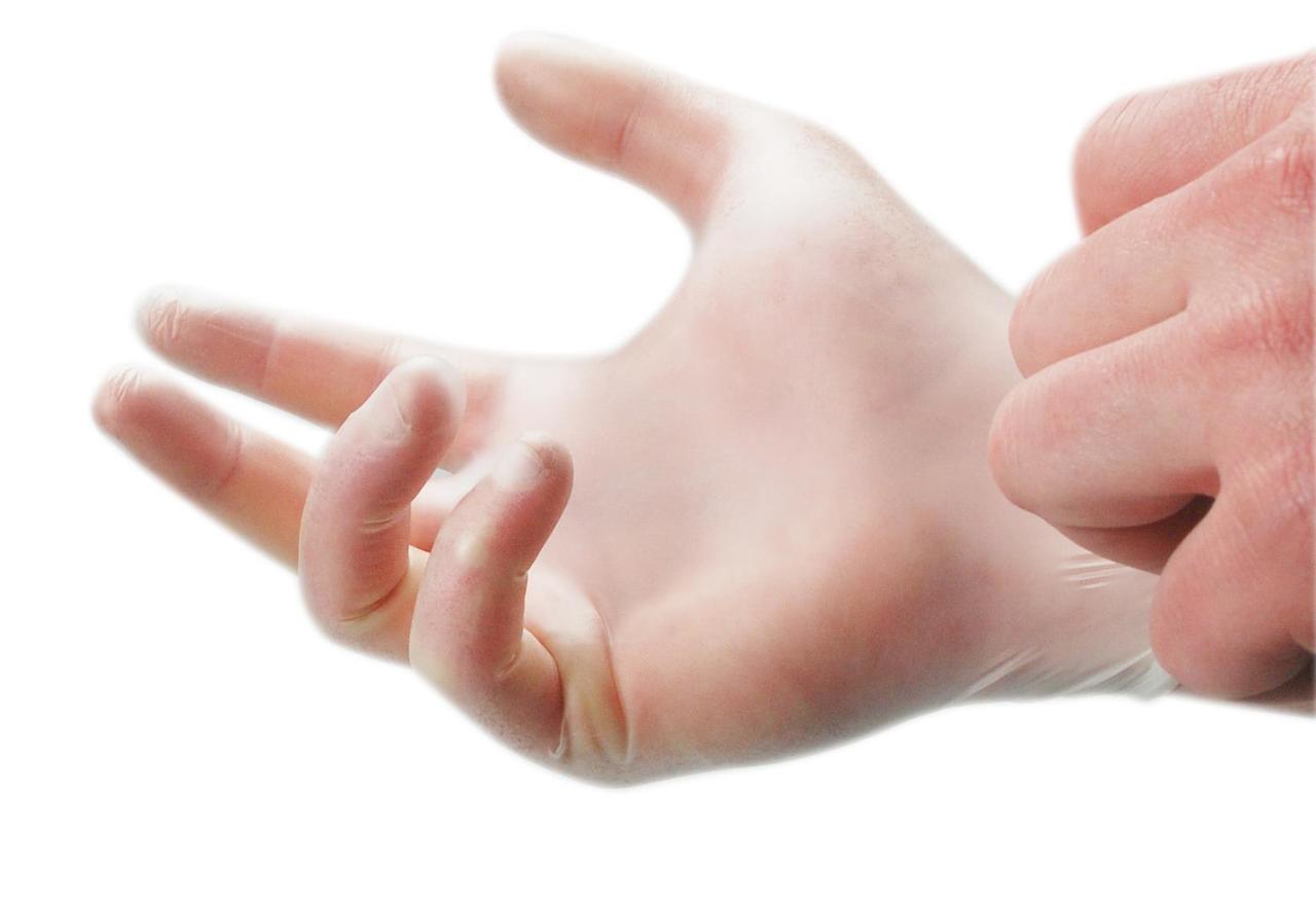 100 Vinyl Gloves Medical Disease Germs Powder Free Protection Hygiene Disposable 100 Vinyl Gloves Medical Disease Germs Powder Free Protection Hygiene Disposable